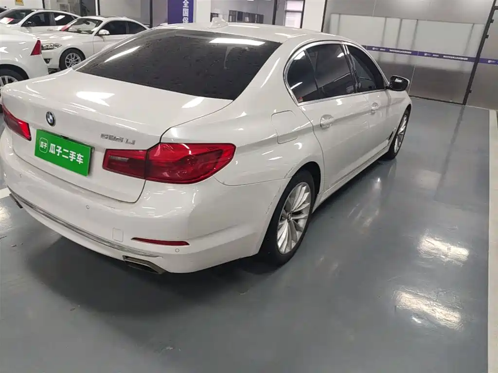 BMW 5 Series 2019 525Li Luxury Package фото 8