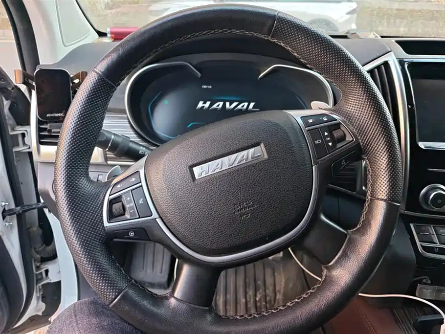 HAVAL H9