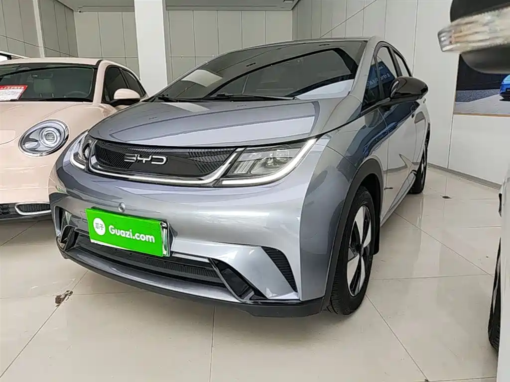 BYD Dolphin 2023 420km Freedom Edition