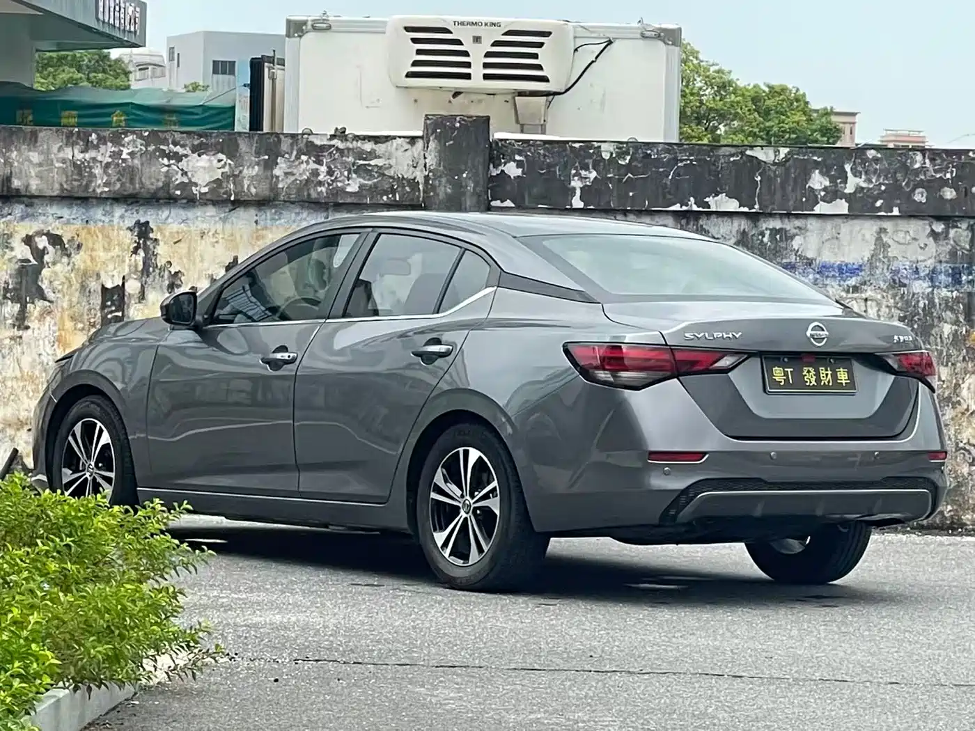 Фото 8 - Nissan Sylphy