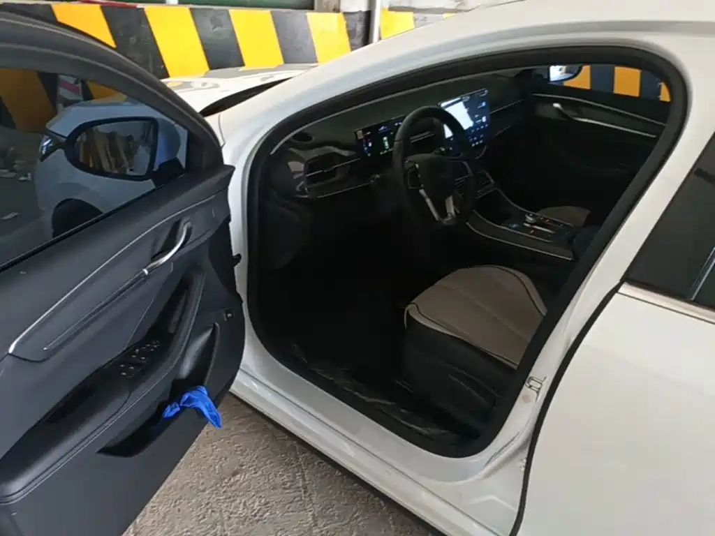 BYD Destroyer 05 2025 2024 Glory Edition DM-i 55KM Luxury