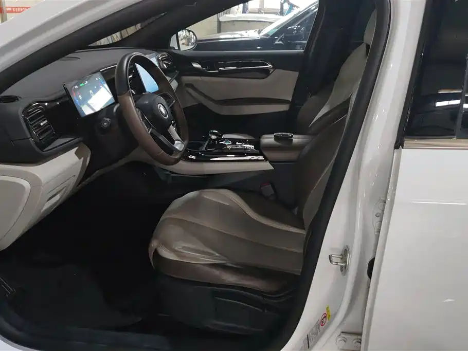 BYD Qin PLUS 2024 Glory Edition DM-i 55KM Leading фото 9