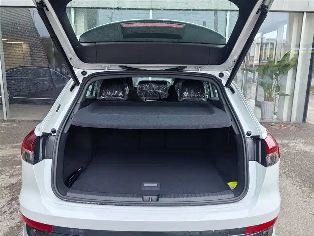 Audi Q4 e-tron 2024 40 e-tron Pioneer Edition фото 6