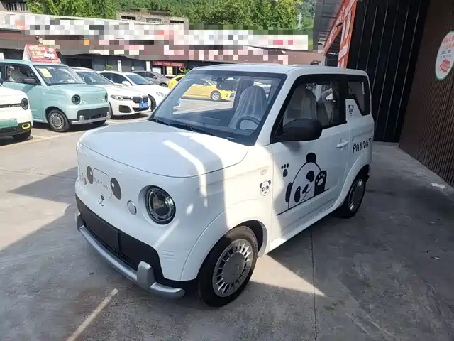  Ruilan Auto Ruilan Blue Elf 2025 Base Model