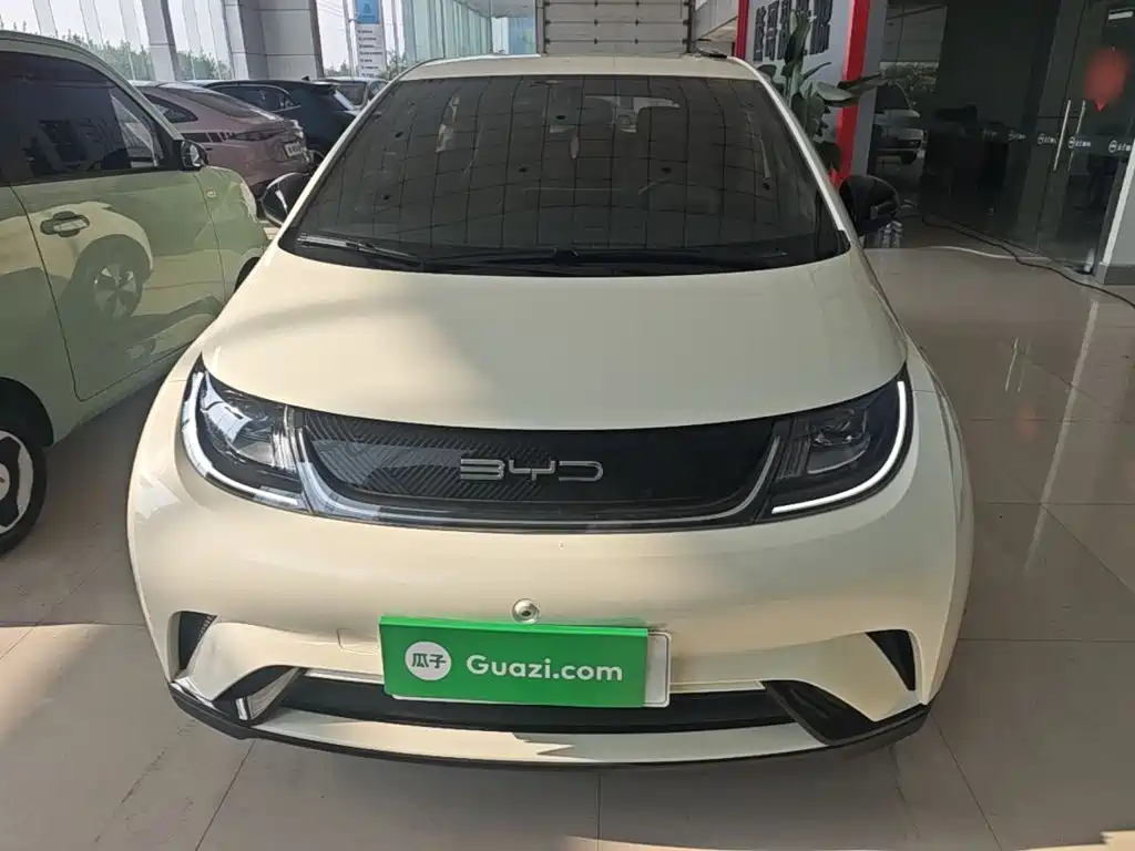 Фото 3 - BYD Dolphin