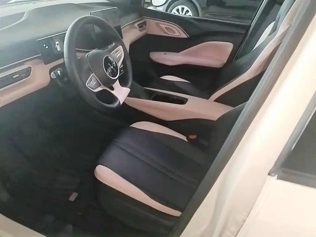 BYD Seagull 2025 Smart Drive Edition 305km Vitality Version фото 15