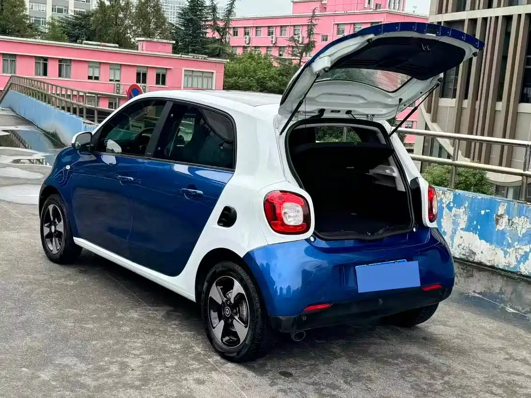 Фото 16 - smart forfour