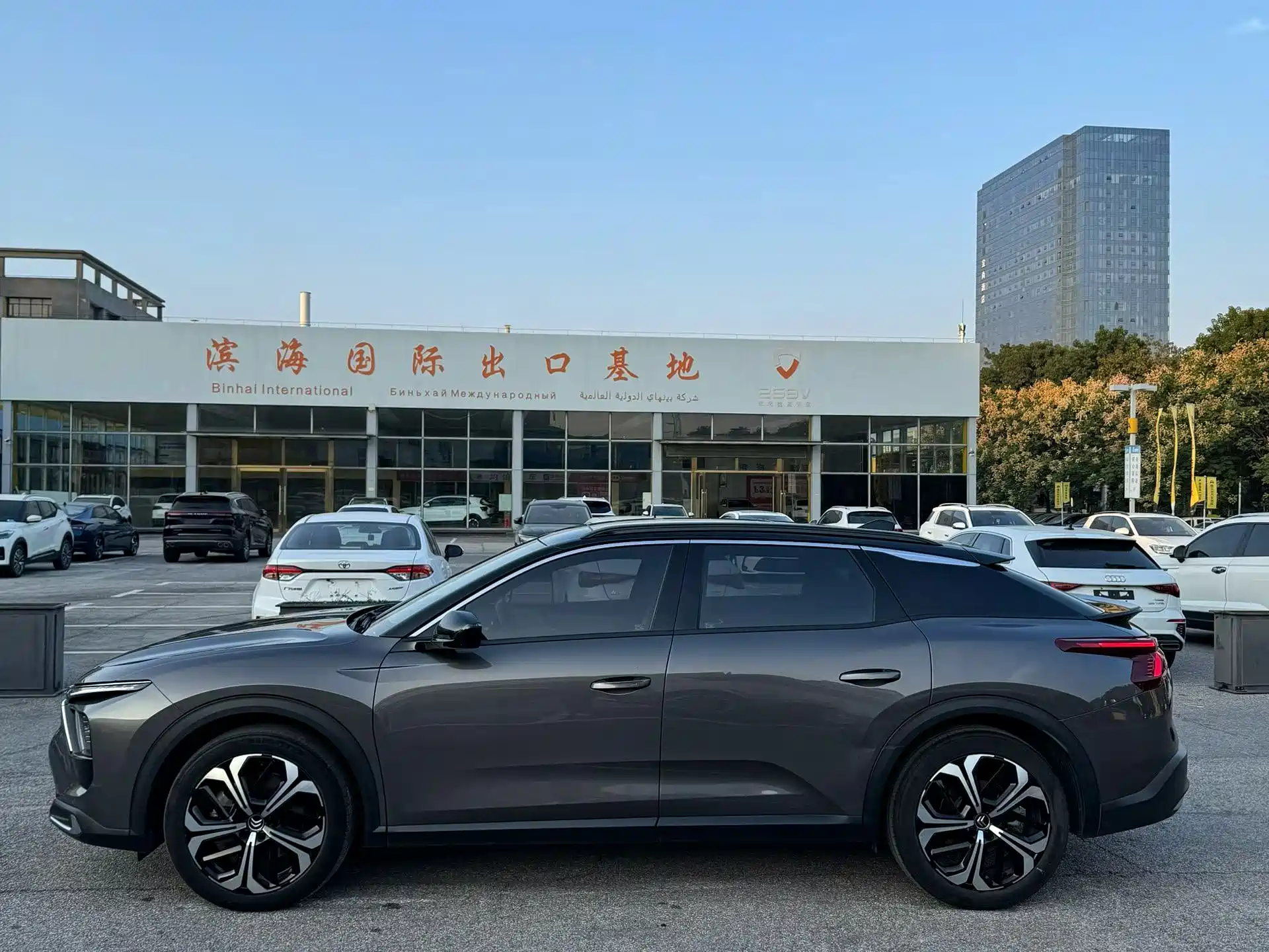 Photo 6 - Citroën Versailles C5 X