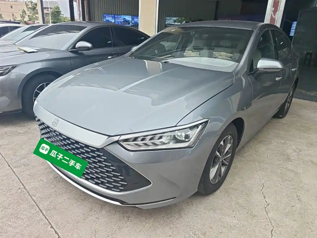 BYD Qin PLUS 2024 Glory Edition DM-i 55KM Leading