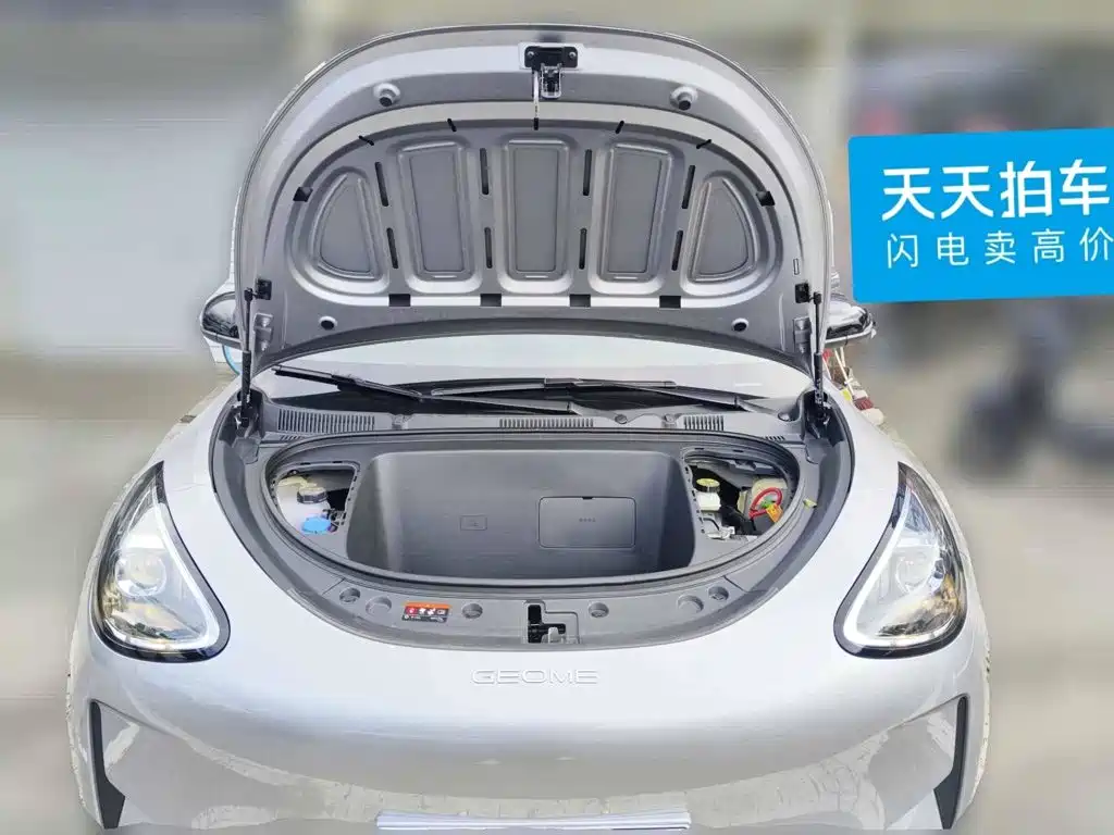 Geely Galaxy Starry Wish 2026 2026 Edition 310km Youth Version