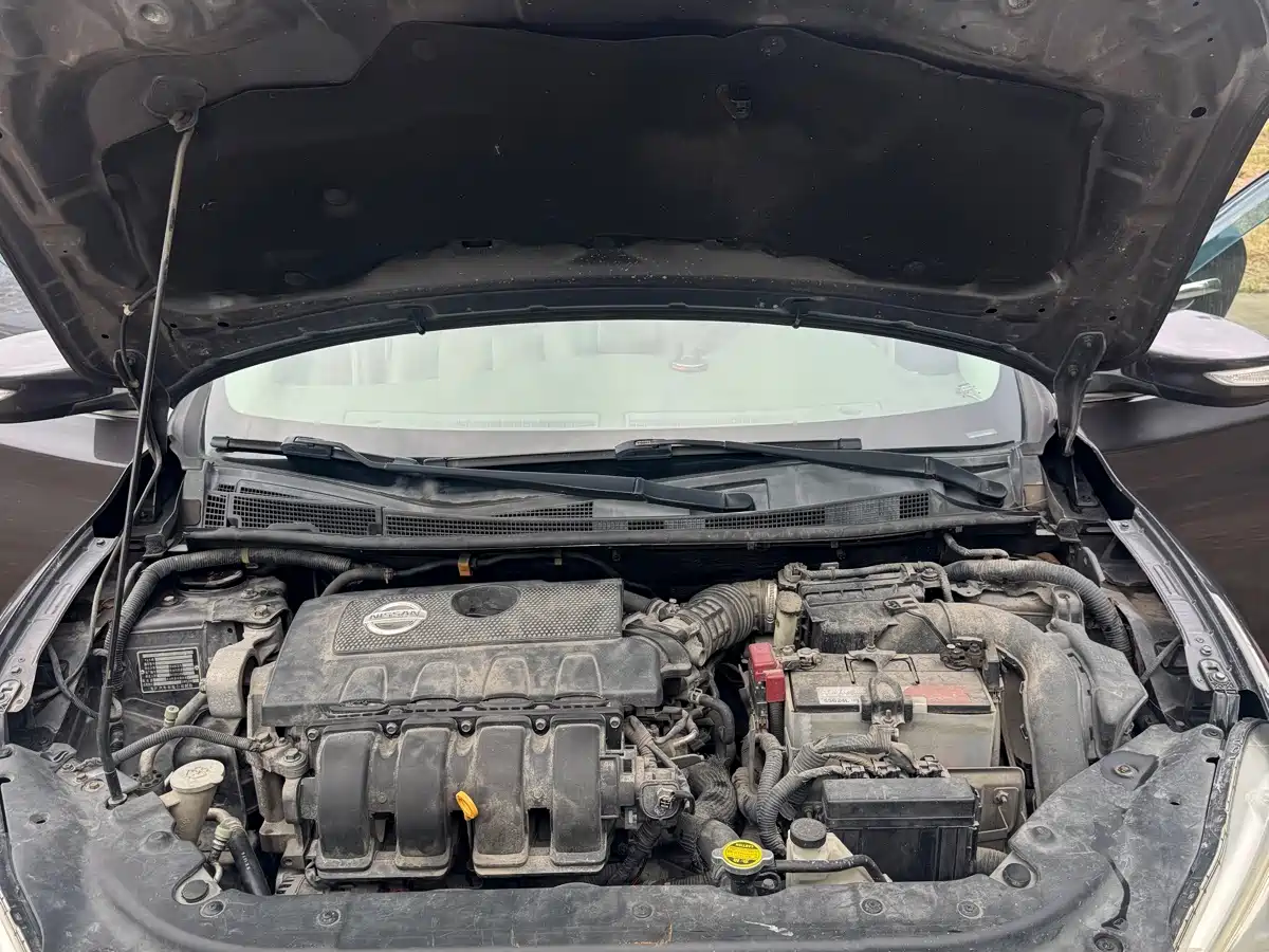 Фото 15 - Nissan Sylphy