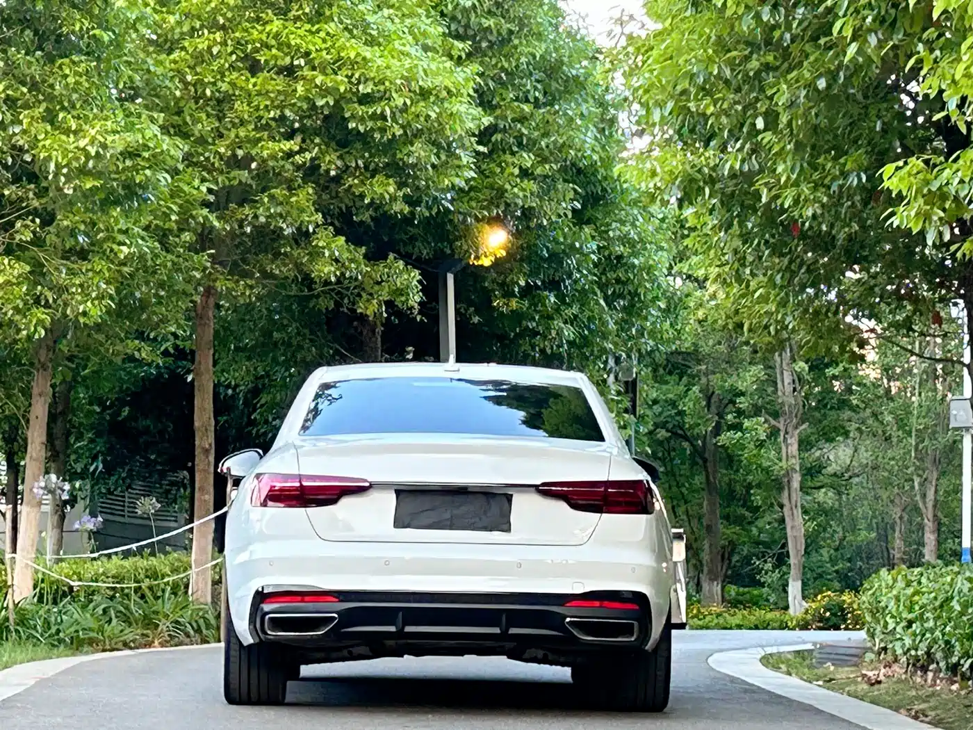 Audi A4L 2022 40 TFSI Luxury Dynamic фото 4