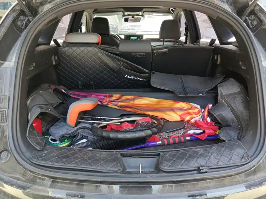 Haval Chitu 2022 2021 Boost Edition 1.5T Platinum Rabbit
