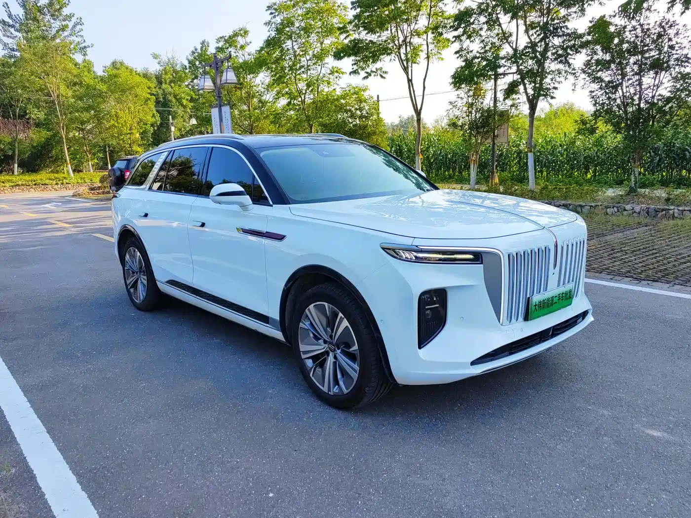 Hongqi E-HS9 2021 460km Flagship Comfort 6-seater фото 9