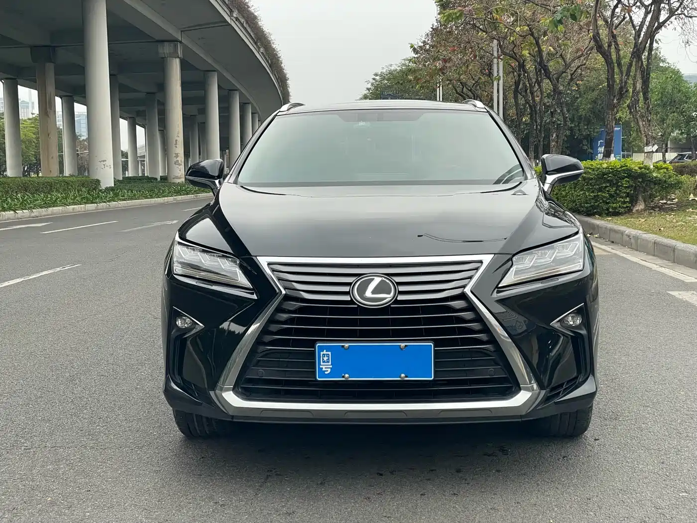 Lexus RX 2016 300 4WD Elegance Edition (China V) фото 2