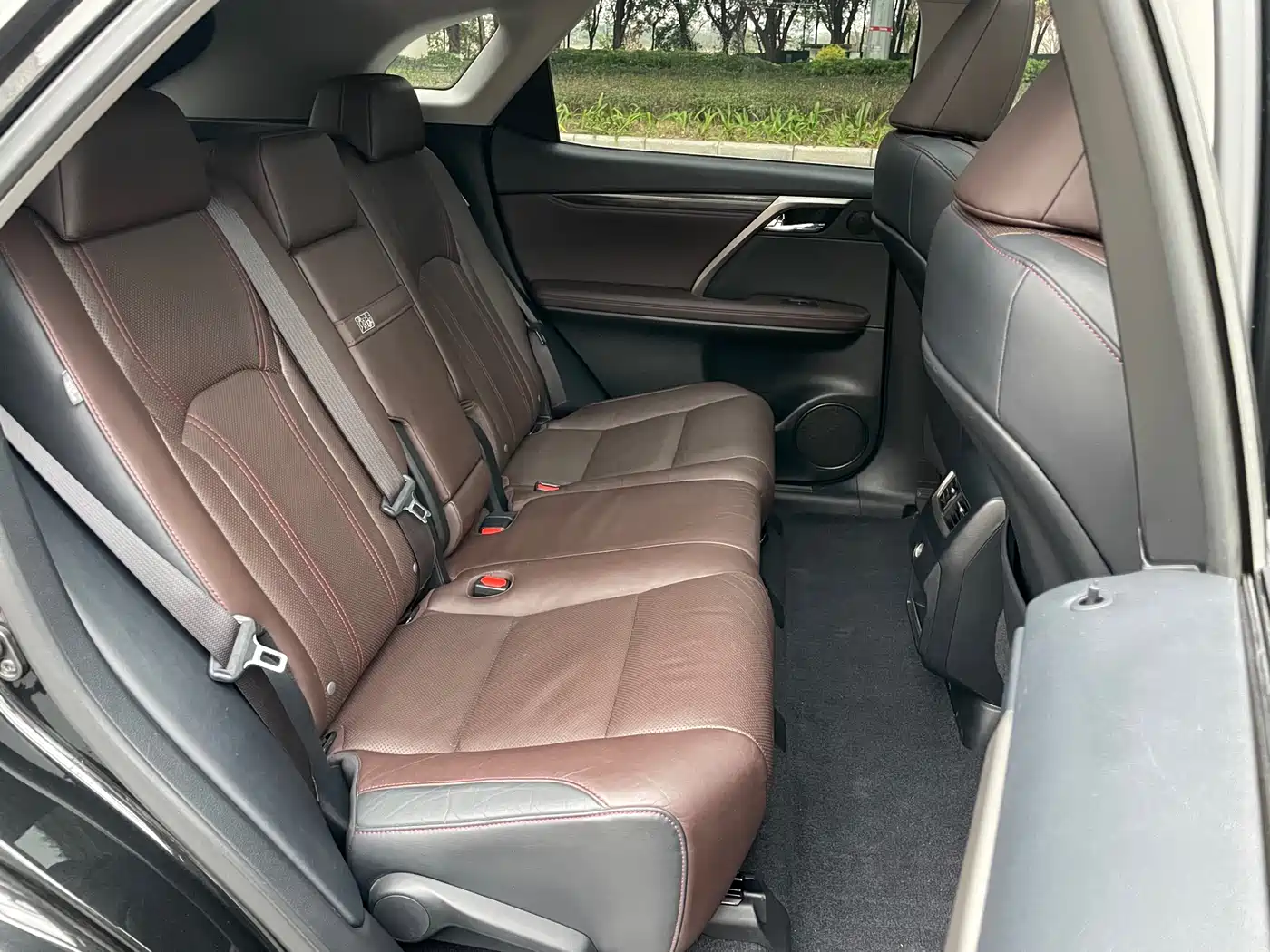 Lexus RX 2016 300 4WD Elegance Edition (China V) фото 12
