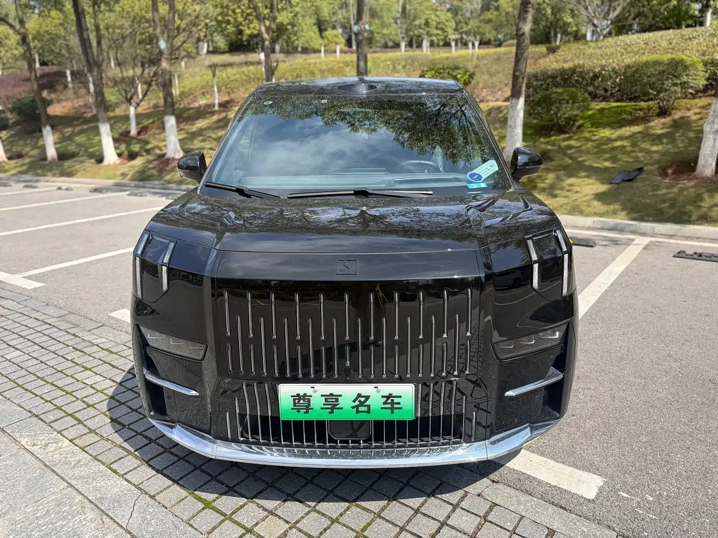 ZEEKR EXTREME KRYPTON 009