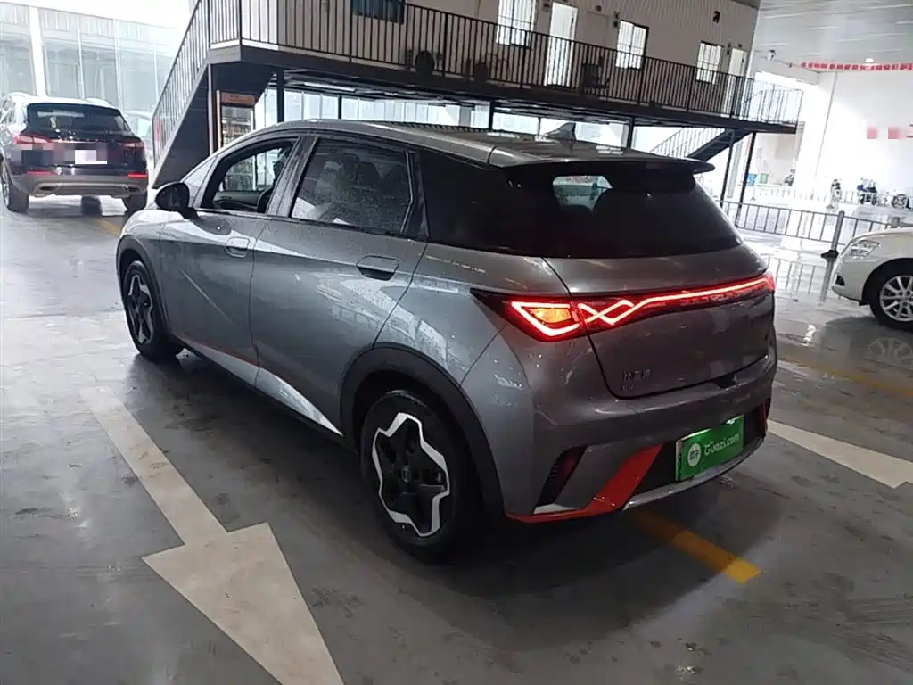 BYD Dolphin 2021 Model 405km Fashion Edition фото 5