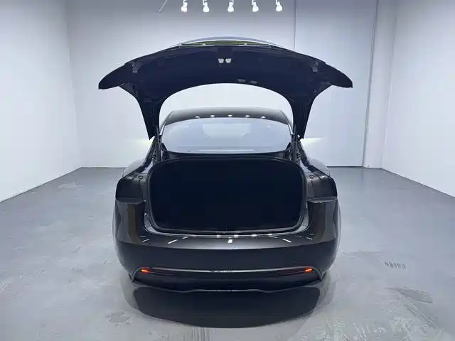 Фото 12 - Tesla Model 3