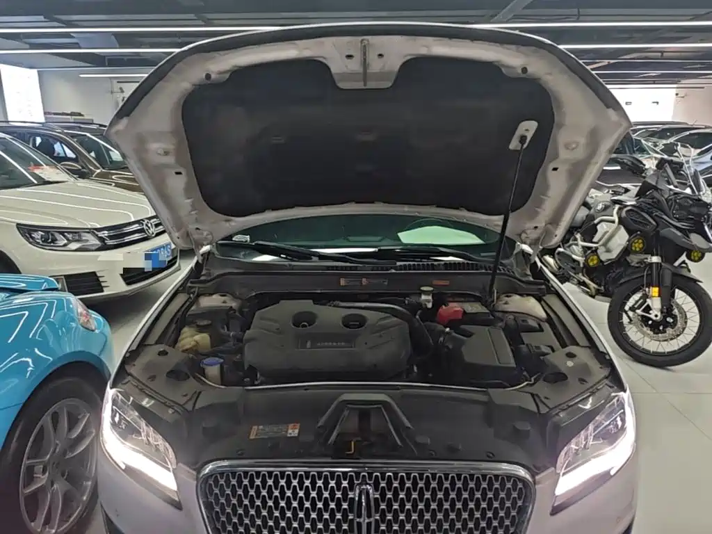 Lincoln MKZ 2019 2019 2.0T Zunya Edition China VI