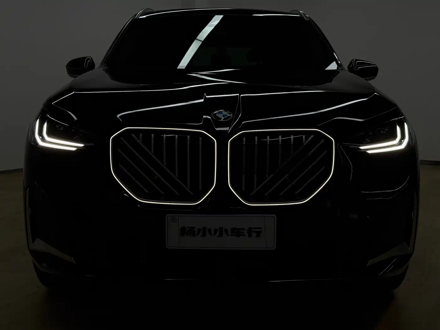 BMW X3 2025 xDrive30L Leading M Sport Package фото 9