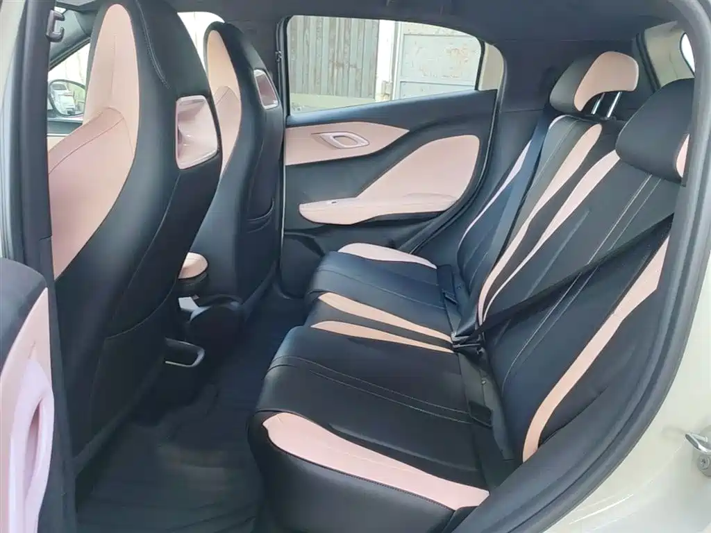 BYD Seagull 2025 Smart Drive Edition 305km Vitality Version фото 17
