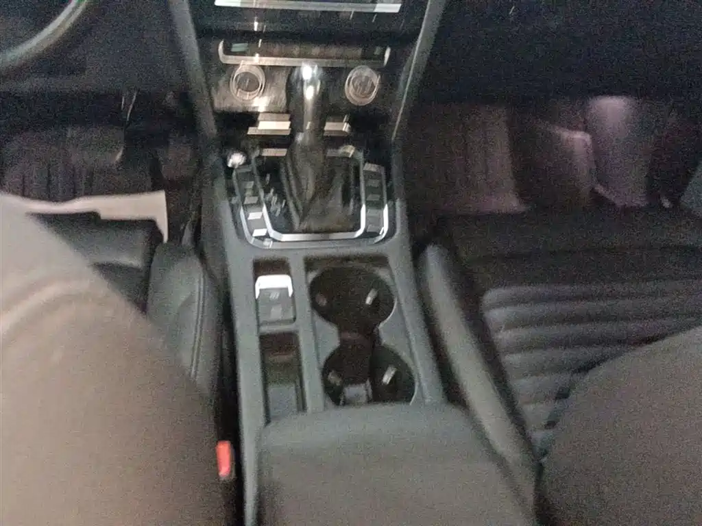 Volkswagen Magotan 2019 330TSI DSG Leading China V фото 14