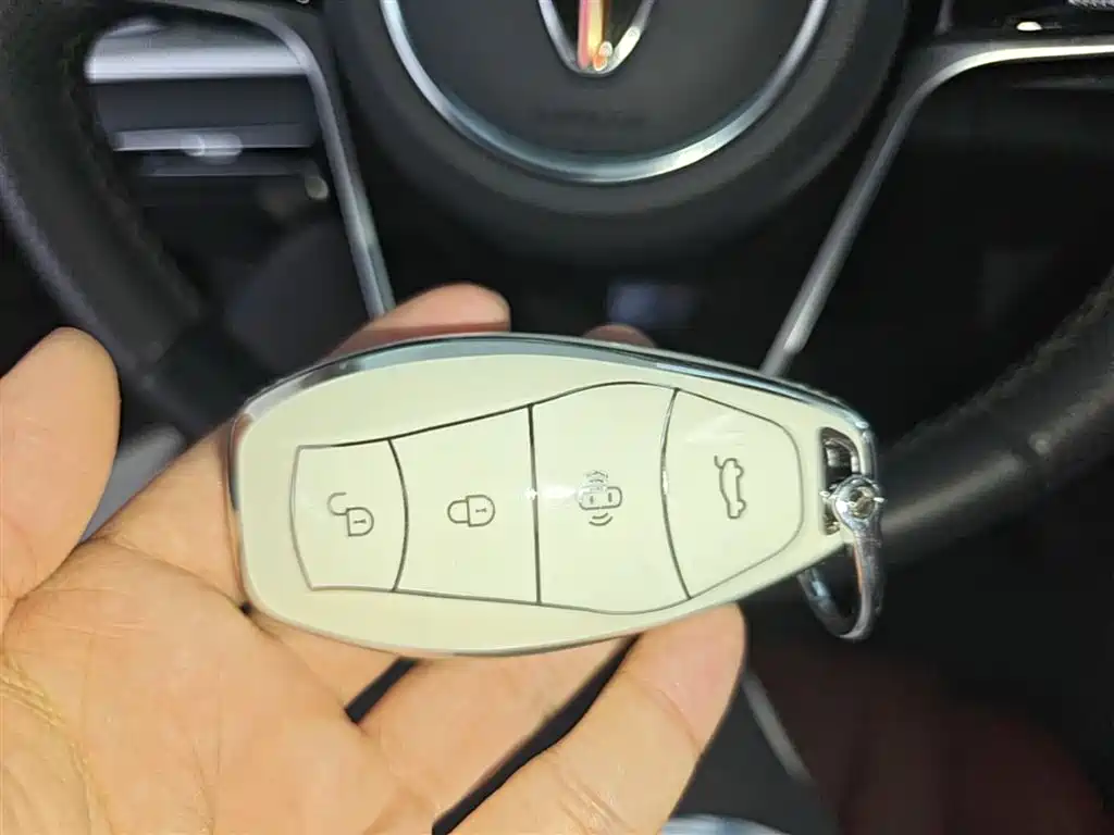 Hongqi H5 2023 1.5T DCT Smart Connect Flag Rhythm фото 9