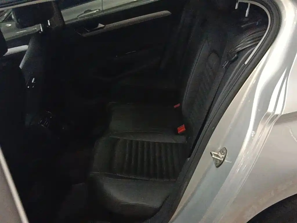 Volkswagen Magotan 2019 330TSI DSG Leading China V фото 17