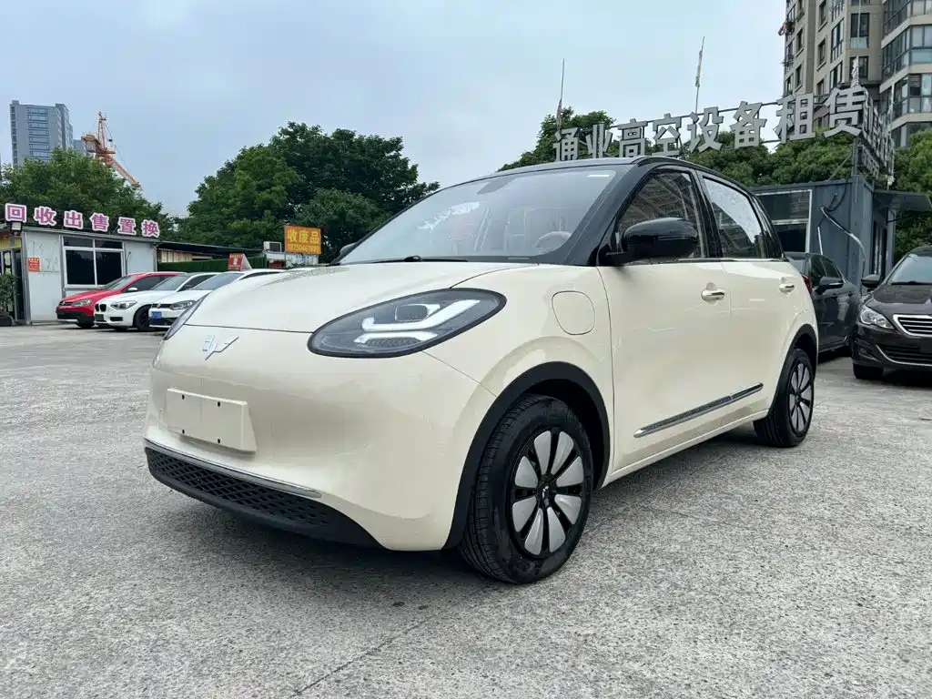 Wuling Motors Wuling Bingo 2026 2025 Model 333km Joy Edition