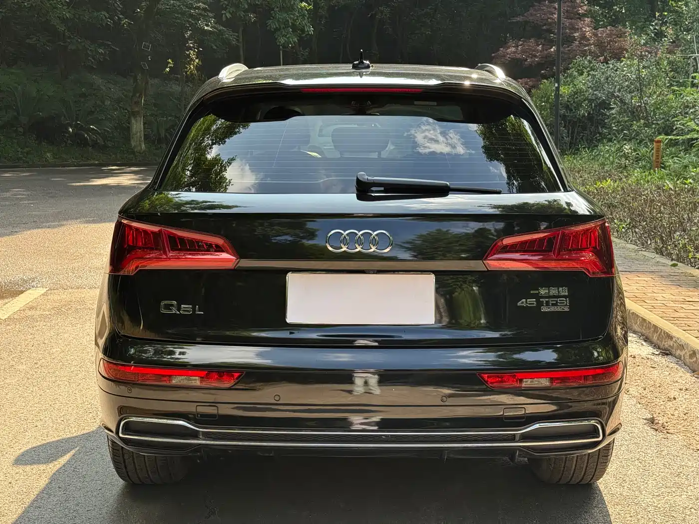 Audi Q5L 2018 45 TFSI Exclusive Fashion (China V) фото 9