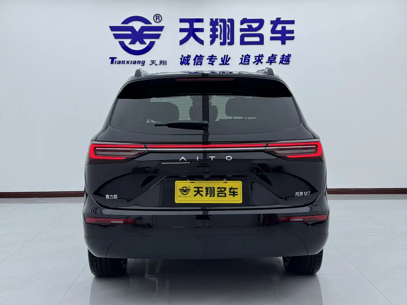 AITO Wenjie AITO M7 2024 1.5T Smart Drive RWD Pro 5-seater фото 22