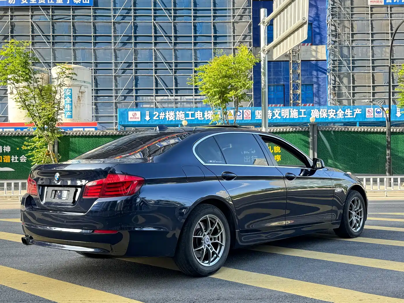 BMW 5 Series 2013 525Li Luxury фото 6