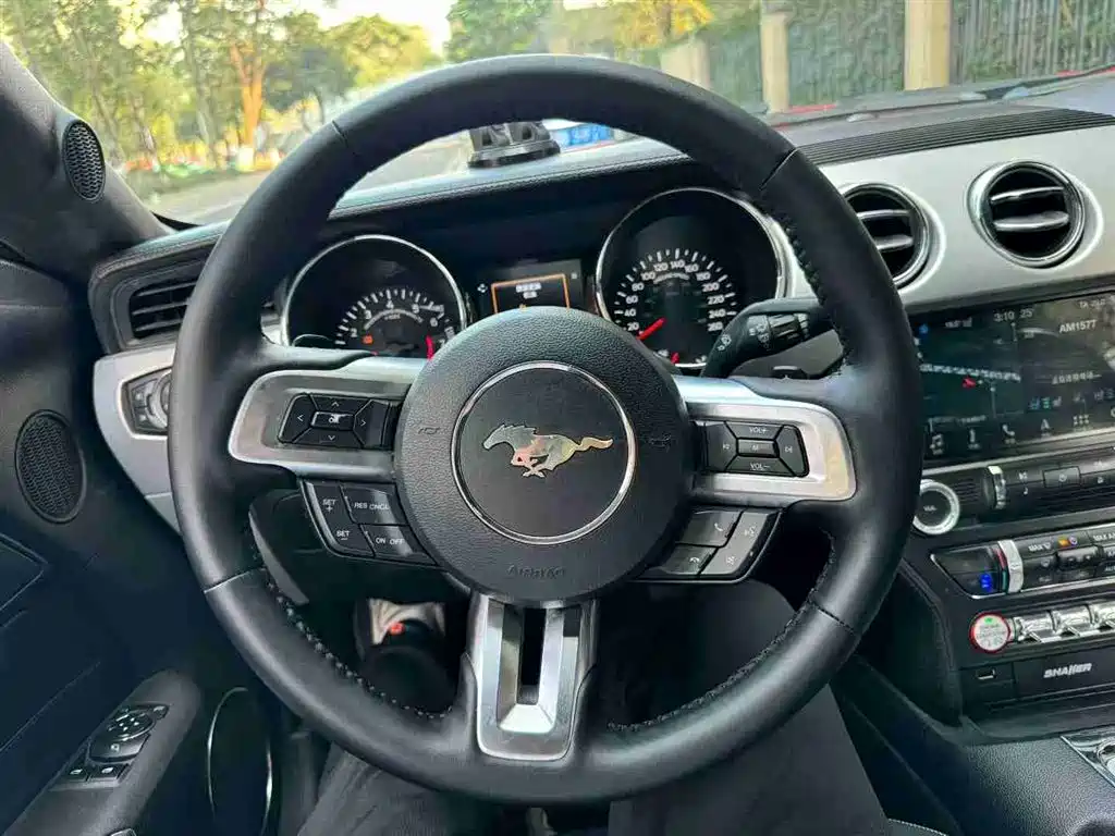 Фото 6 - Ford Mustang