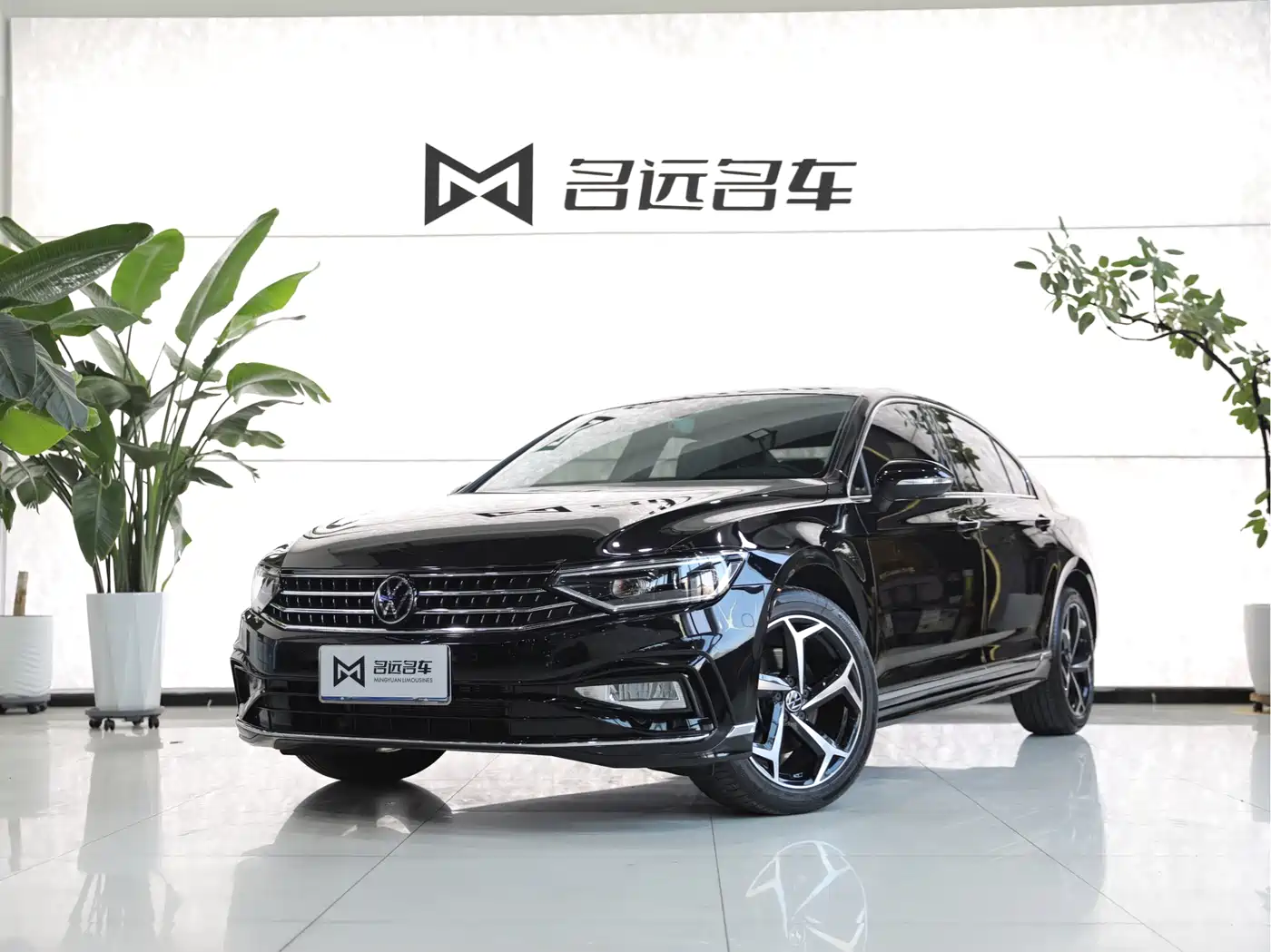 Volkswagen Magotan 2024 2 Million Units Public Sharing Edition 330TSI DSG Luxury