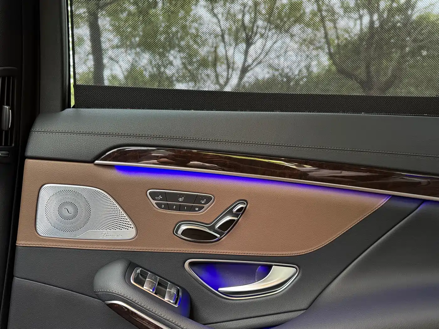 Mercedes-Benz S-Class 2020 S 350 L Premium Edition Collector's Version фото 13