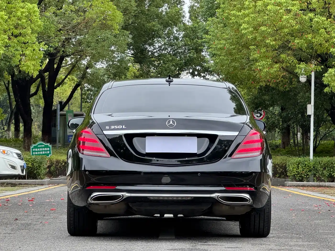 Mercedes-Benz S-Class 2020 S 350 L Premium Edition Collector's Version фото 19