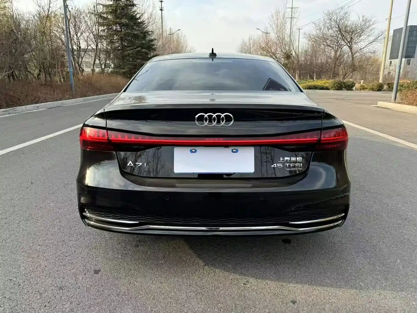 Audi A7L, миниатюра 8