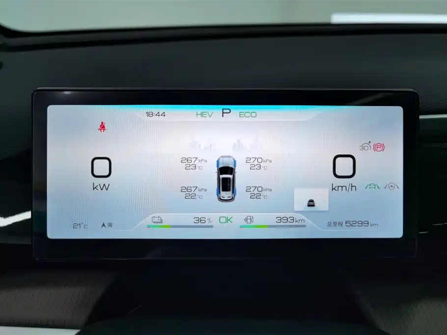 BYD Song Pro New Energy 2024 Glory Edition DM-i 110KM Surpassing фото 14