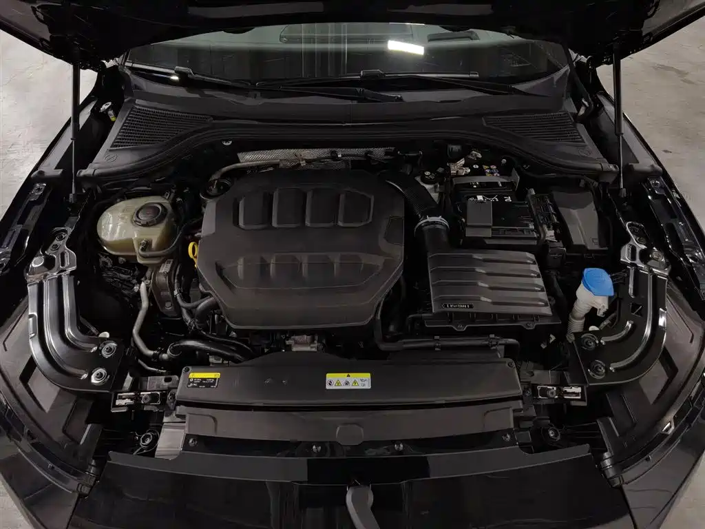 Volkswagen Magotan 2024 380TSI DSG Luxury Edition (Daimai Package) фото 6