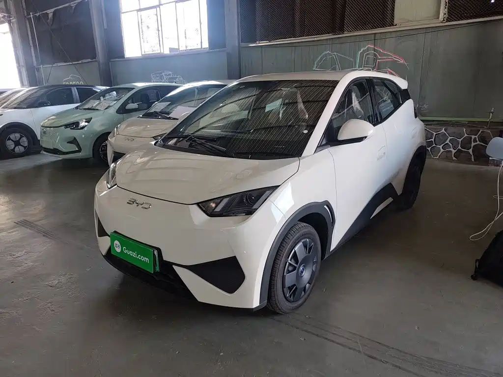 2026 BYD Seagull