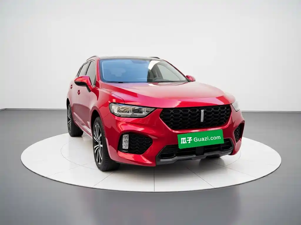 WEY VV5 2017 2017 2.0T Super Luxury Model