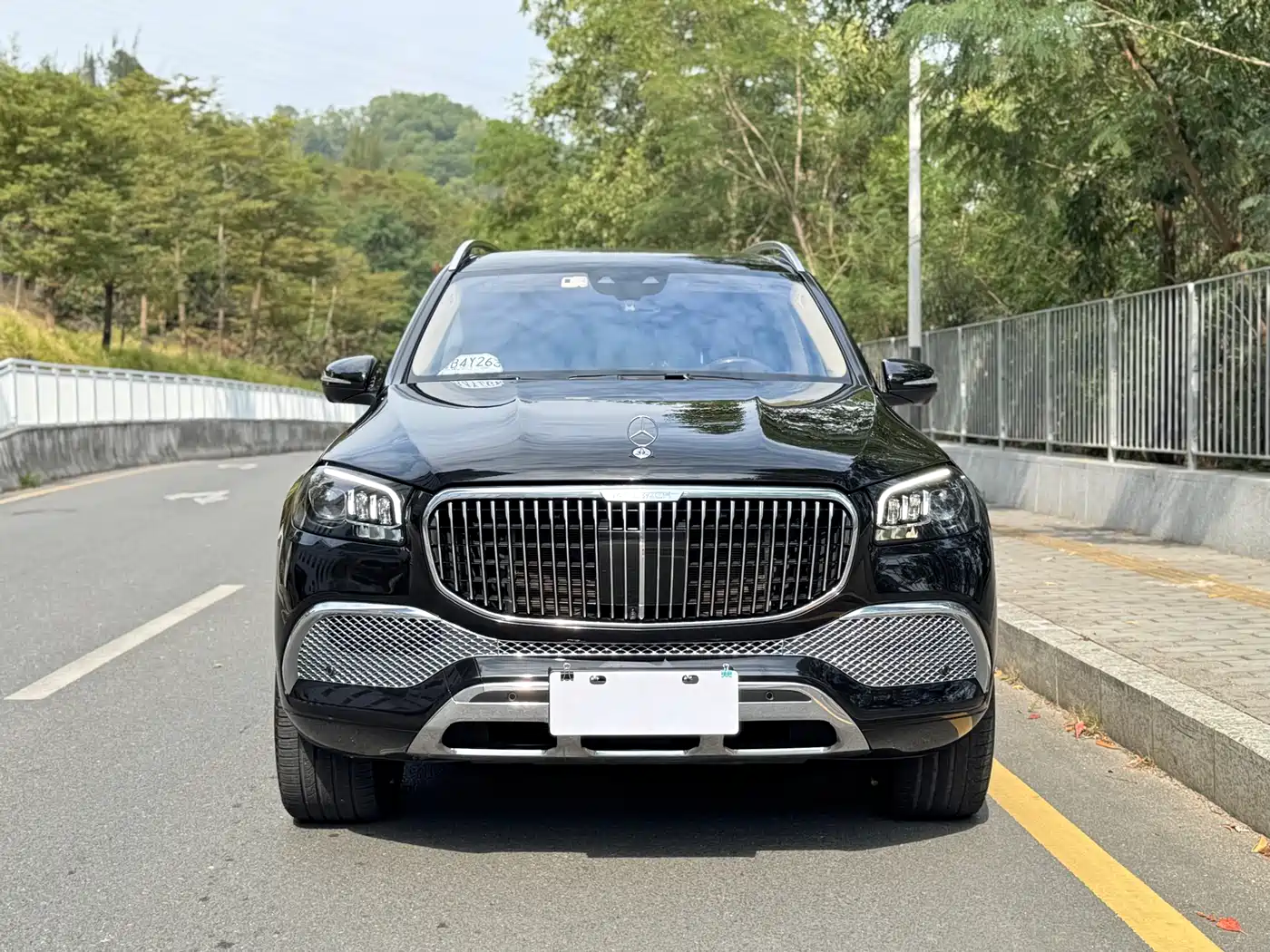 Mercedes-Benz Maybach GLS 2021 GLS 600 4MATIC Ritual Edition фото 6