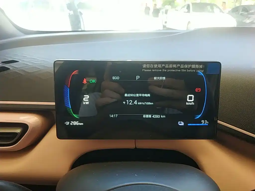 BYD Seagull 2026 2025 Smart Drive Edition 305km Vitality Version