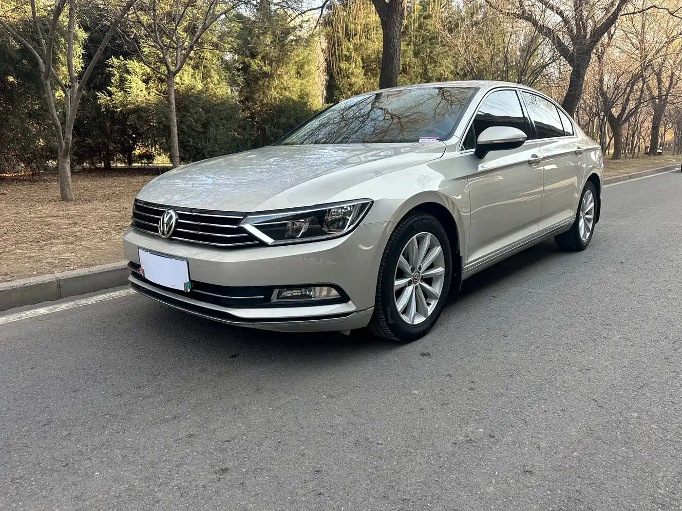Volkswagen Magotan 2018 330TSI DSG Leading