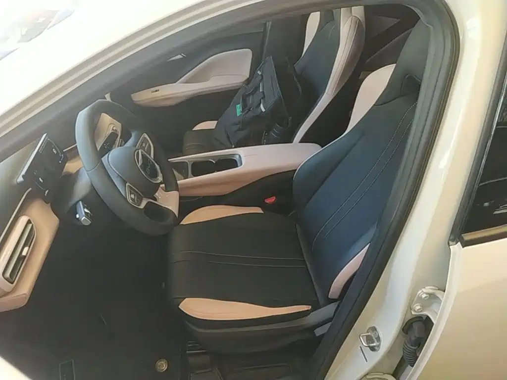 BYD Seagull 2026 2025 Smart Drive Edition 305km Vitality Version
