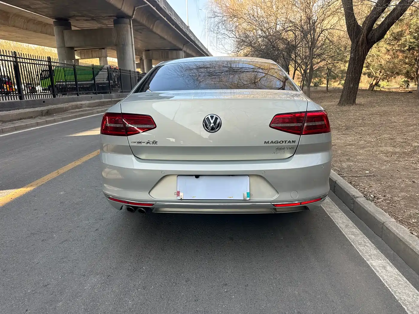 Volkswagen Magotan 2018 330TSI DSG Leading фото 14