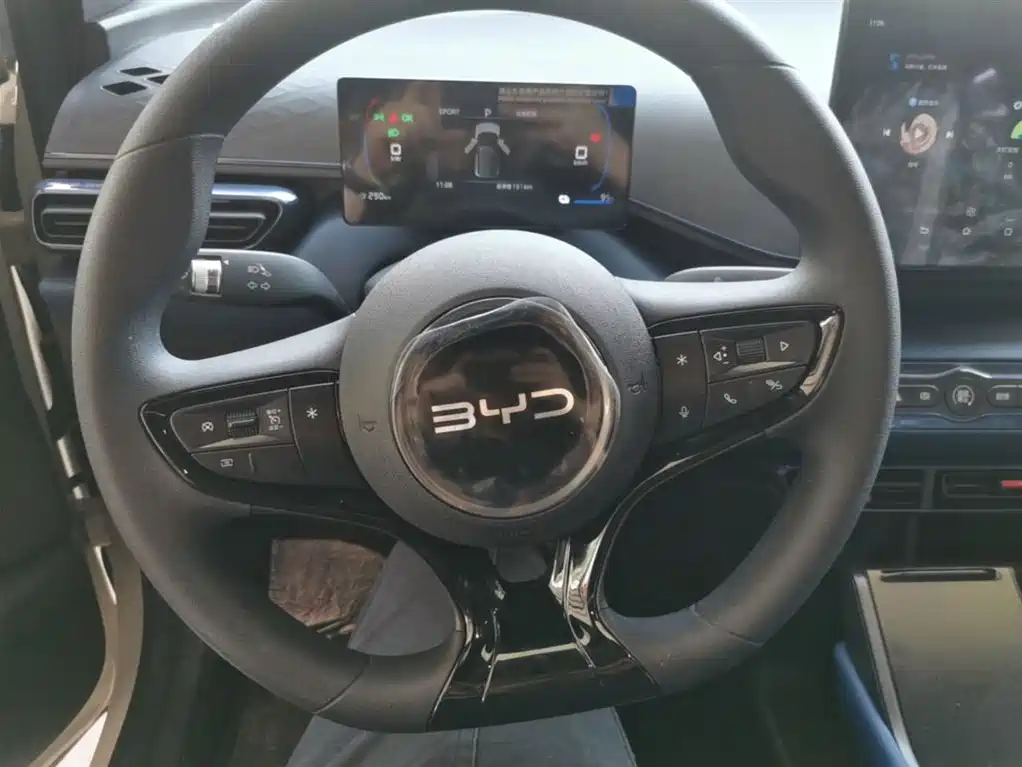 BYD Seagull 2025 Smart Drive Edition 305km Vitality Version фото 11