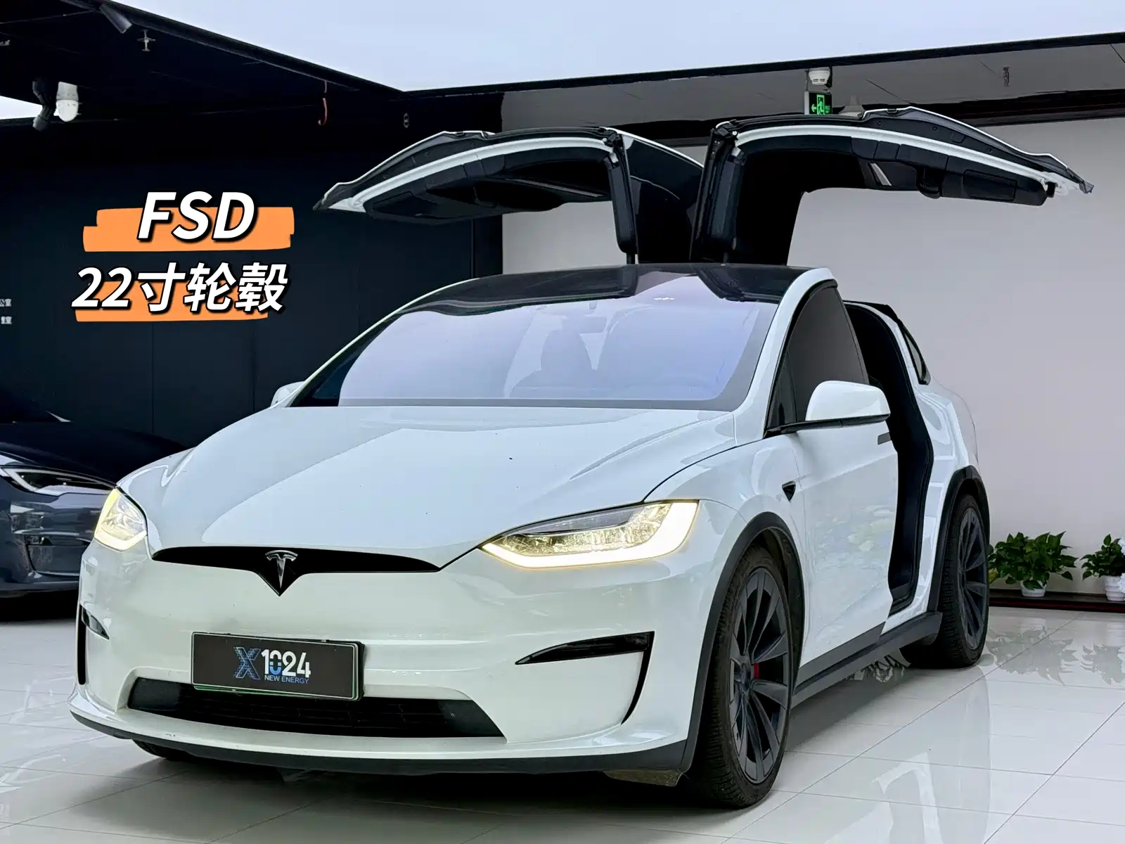 Фото 1 - Tesla Model X