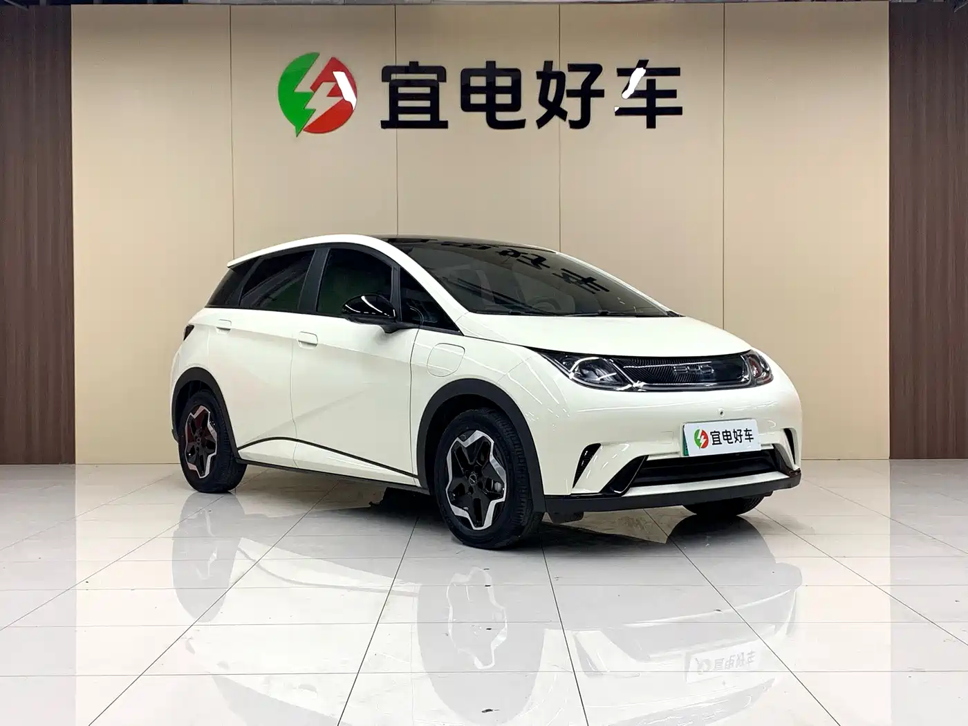 BYD Dolphin 2021 Model 405km Fashion Edition фото 3